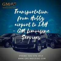 GM Limousine Services image 13